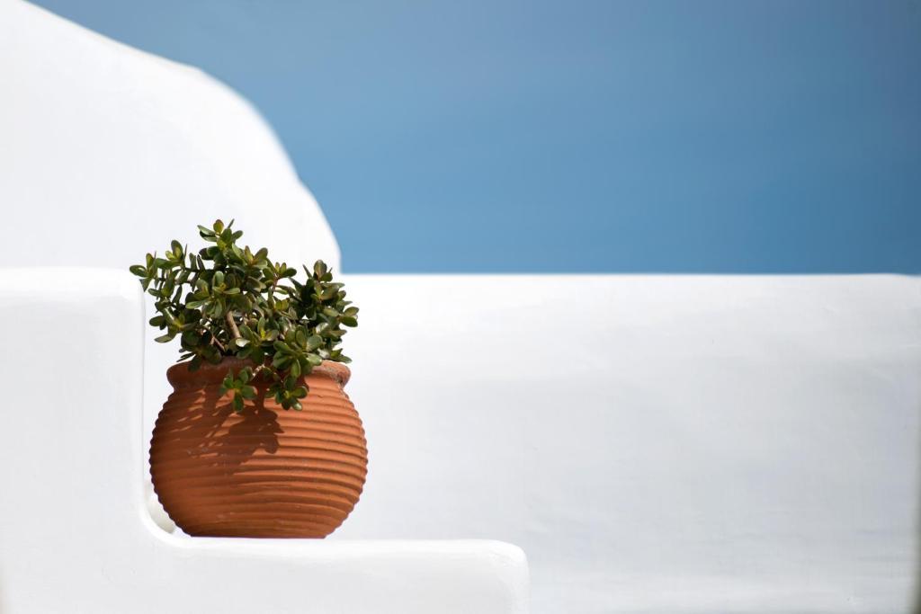 Ferienwohnung Mykonos Thea Agios Sostis  Zimmer foto